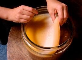 Treatment with tea fungi