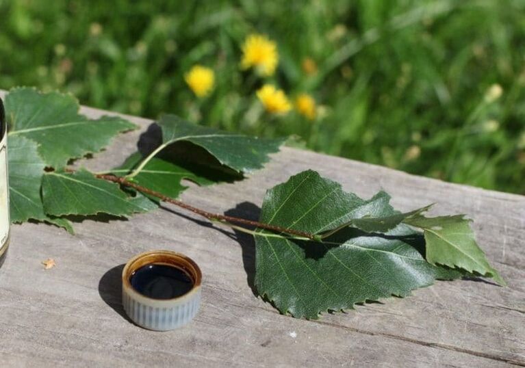 birch tar from a mushroom